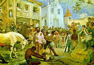 Pau-Brasil